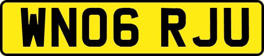 WN06RJU