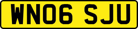 WN06SJU