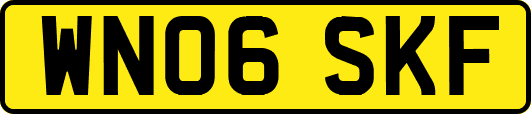 WN06SKF