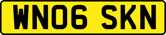 WN06SKN