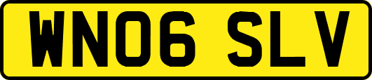 WN06SLV