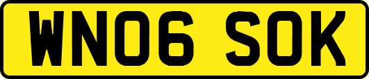 WN06SOK