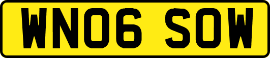 WN06SOW