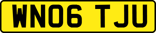 WN06TJU