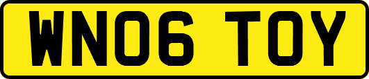 WN06TOY