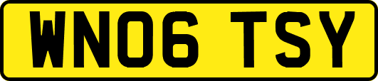 WN06TSY