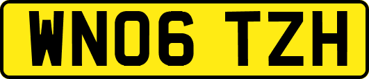 WN06TZH