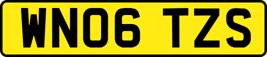 WN06TZS
