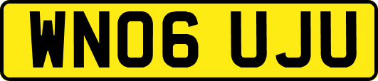 WN06UJU
