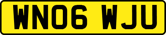 WN06WJU