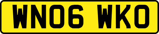 WN06WKO