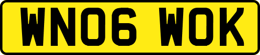 WN06WOK