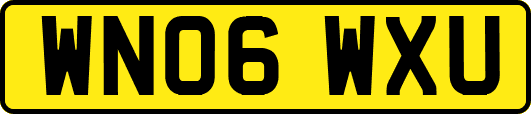 WN06WXU