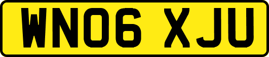WN06XJU