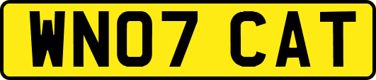 WN07CAT