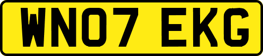 WN07EKG