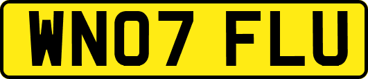 WN07FLU