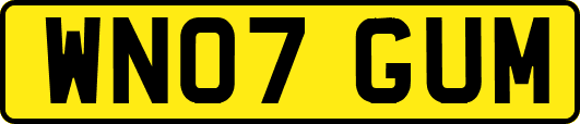 WN07GUM