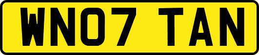 WN07TAN