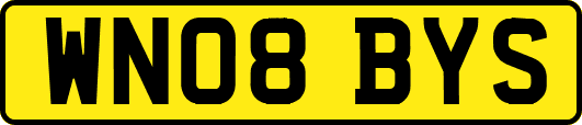 WN08BYS