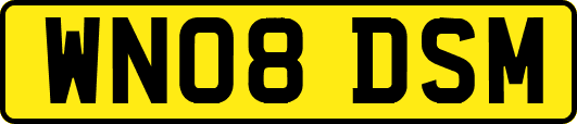 WN08DSM