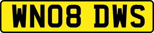 WN08DWS