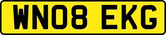 WN08EKG