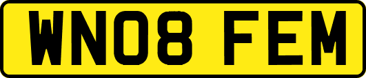 WN08FEM