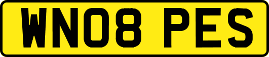 WN08PES