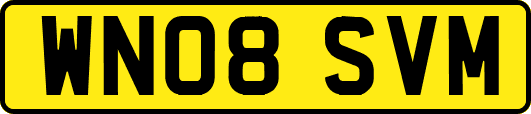 WN08SVM