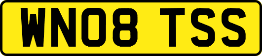 WN08TSS