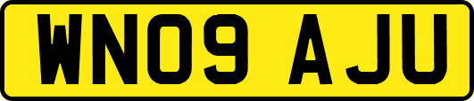 WN09AJU
