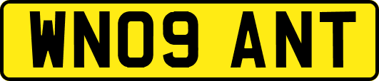 WN09ANT