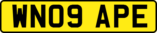 WN09APE
