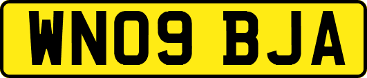 WN09BJA