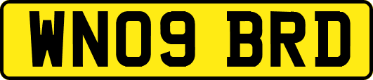 WN09BRD