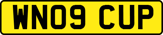 WN09CUP