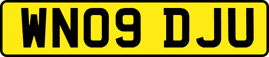 WN09DJU