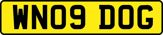 WN09DOG