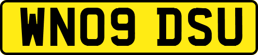 WN09DSU