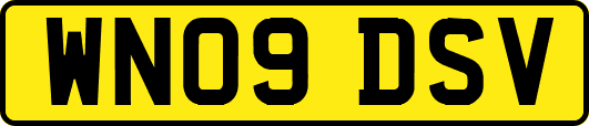 WN09DSV