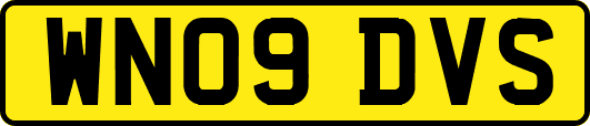 WN09DVS