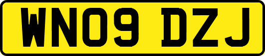 WN09DZJ