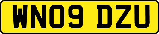 WN09DZU
