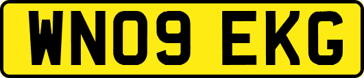 WN09EKG