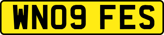 WN09FES