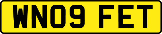 WN09FET
