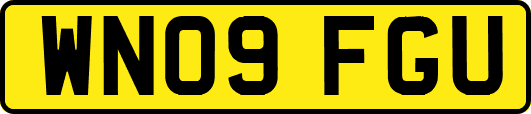 WN09FGU