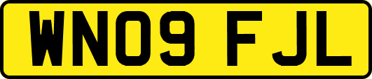 WN09FJL