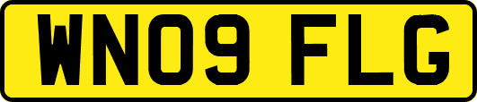 WN09FLG